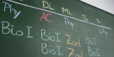 Zur Seite: Stundenpläne