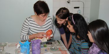 Zur Seite: Lehramt Biologie