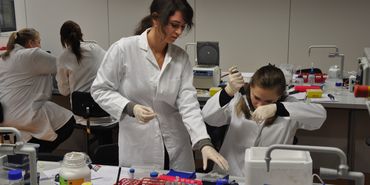 Zur Seite: Master Zell- und Molekularbiologie