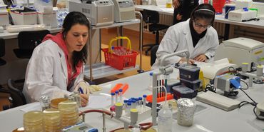 Zur Seite: Aufbau des Studiengangs