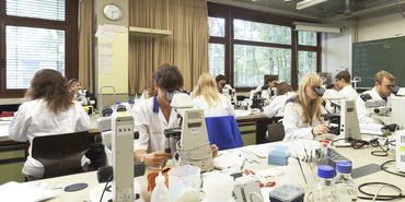Zur Seite: Aufbau des Studiengangs