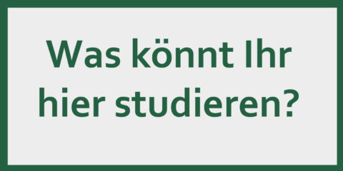 Zur Seite: Studienangebot des Departments Biologie