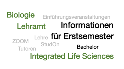 Zur Seite: Erstsemester Bachelor und Lehramt