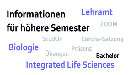 Zur Seite: Höhere Semester Bachelor und Lehramt