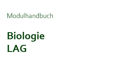 Zur Seite: Modulhandbuch
