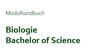 Zur Seite: Modulhandbuch