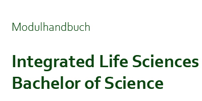 Zur Seite: Modulhandbuch