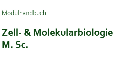 Zur Seite: Modulhandbuch