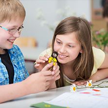 Zur Seite: Biologie Lehramt