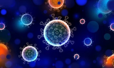 Zum Artikel "COVID-19: Neuen Antikörpern auf der Spur"