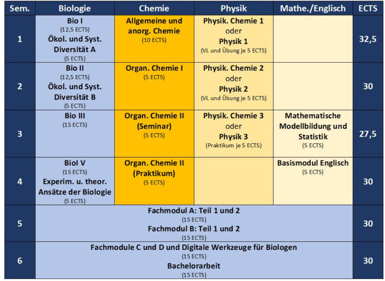 Aufbau des Studiengangs - Department Biologie