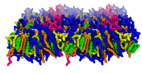 Zum Artikel "Wenn der pH entscheidet: Neue Einblicke in mRNA-Nanopartikel"
